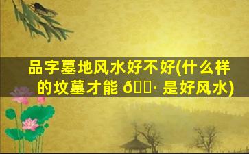 品字墓地风水好不好(什么样的坟墓才能 🌷 是好风水)